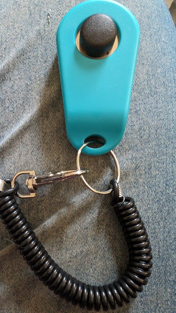 Dog Puppy Training Clicker. Eastside or West