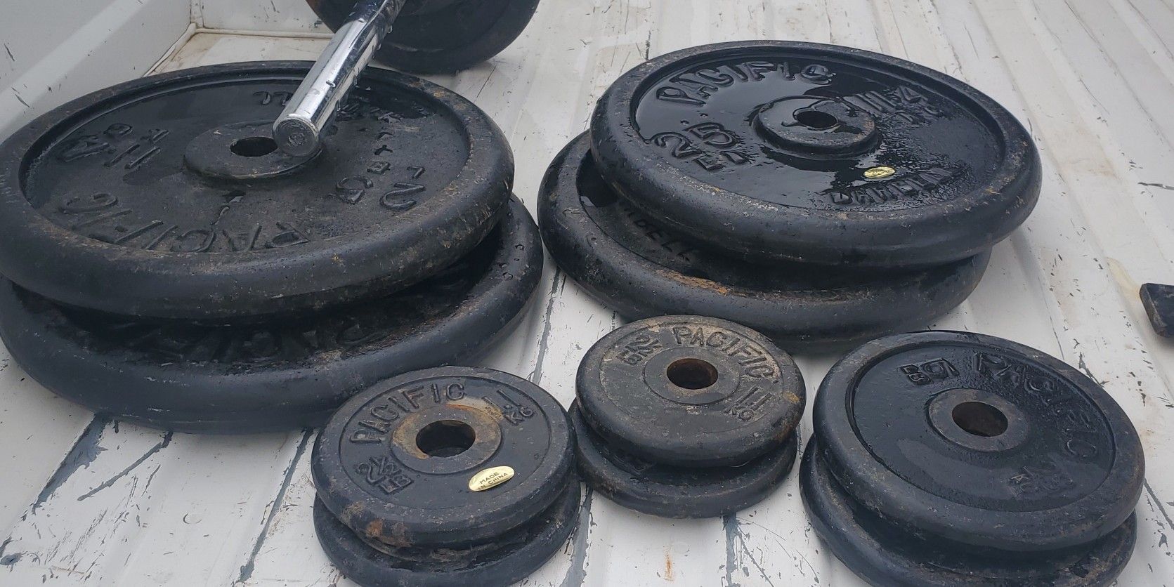 WORKOUT BENCH AND BENCH BAR AND A LOT OF WEIGHTED PLATES 