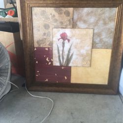 Framed Picture 