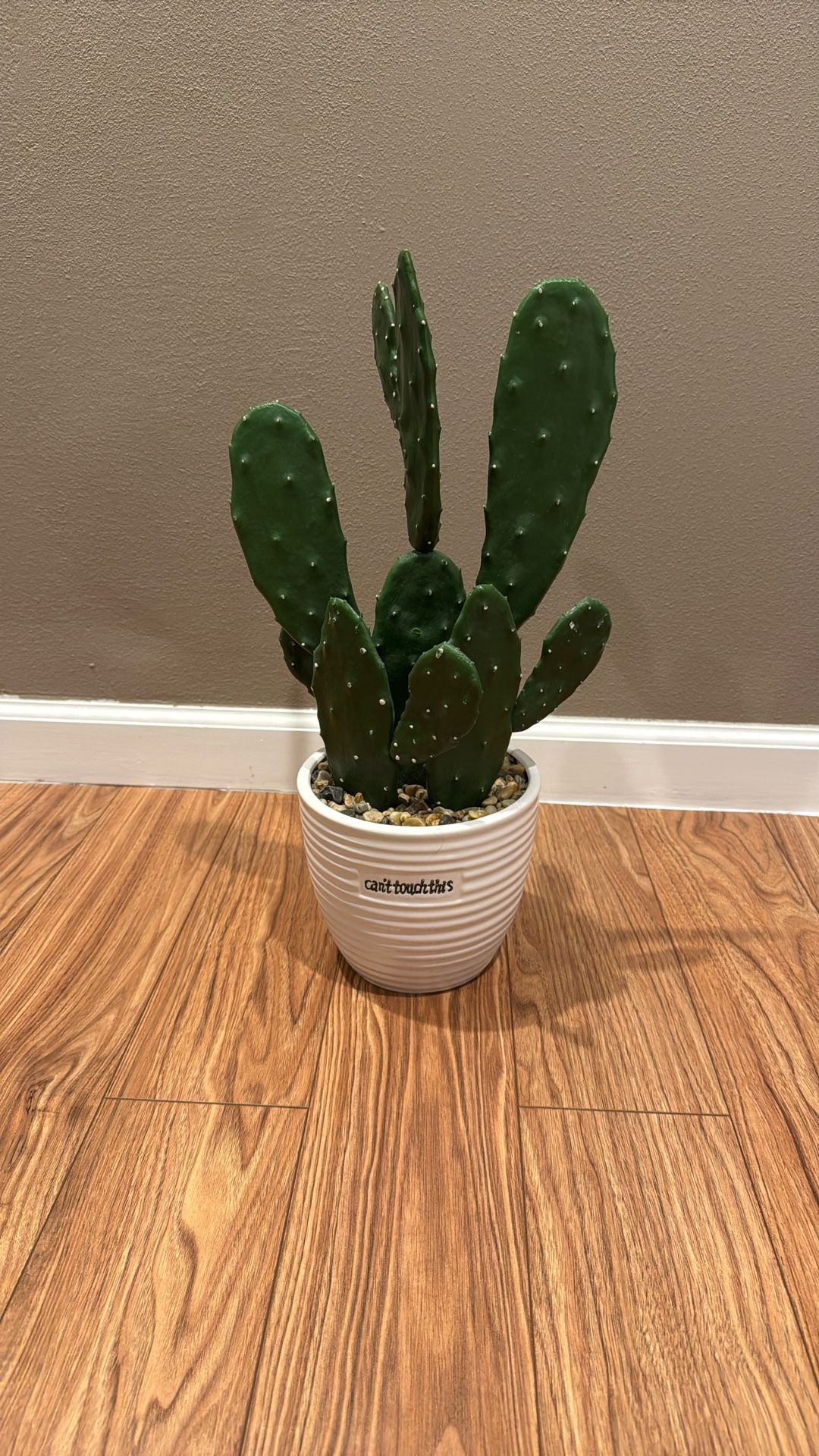 Plastic Cactus