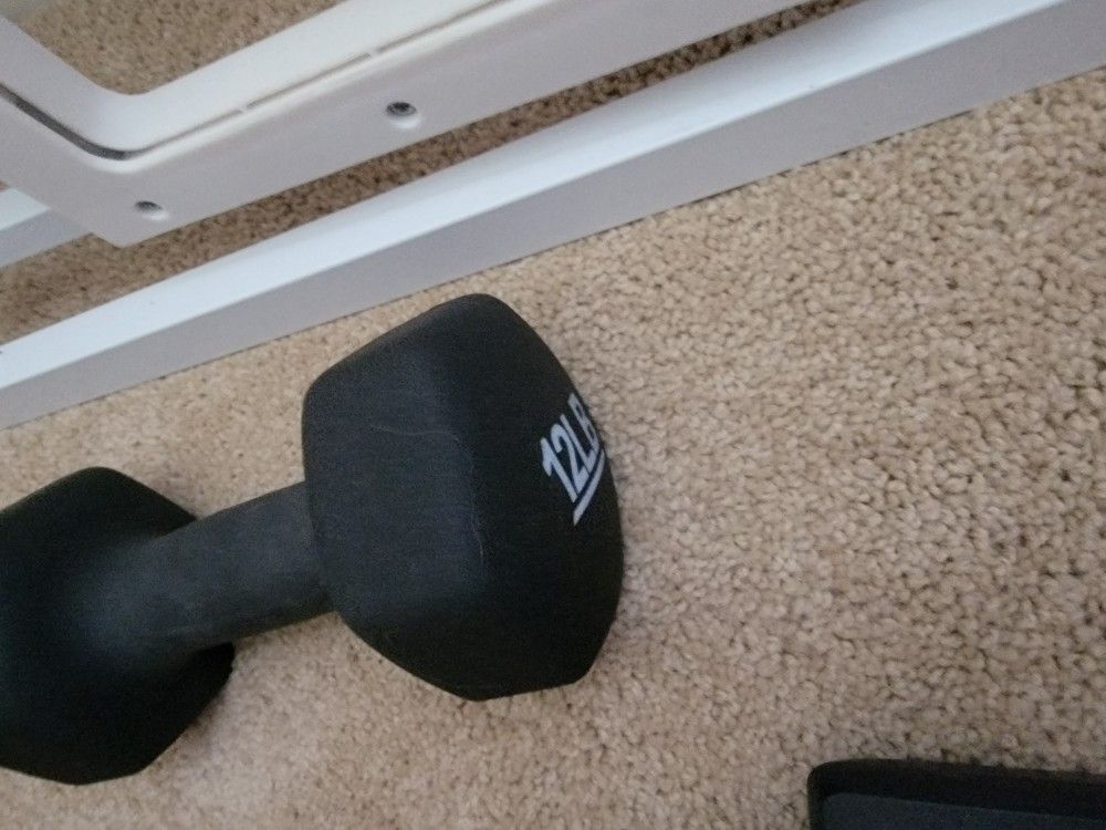 Two 12lbs Dumbells