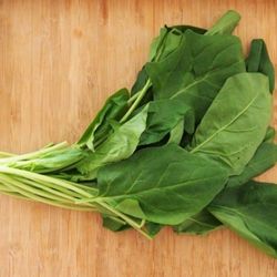 Oriental Spinach Seeds