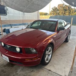 2007 Mustang Gt 