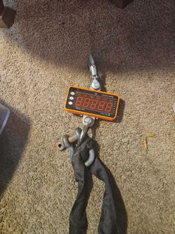 crane scale