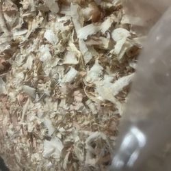 Wood Shavings