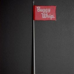 Buggy Whip w/Light & Two Flags