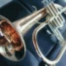Flugelhorn and other horn.