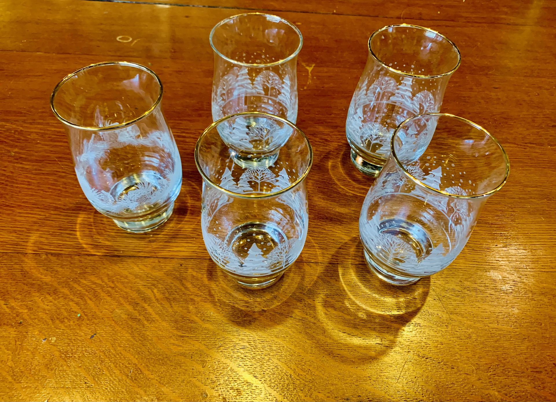 Vintage Libby Winter Wonderland Frosted Set Of 5 Glasses Tumblers With Gold Rim