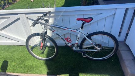 19” mountain bike