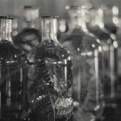 Upcycled Espolòn Tequila Bottle Vases (Set of 8)