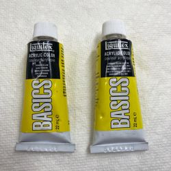 Vintage Liquitex Basics Acrylic Paint