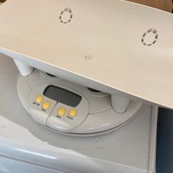 Infant Toddler Scale