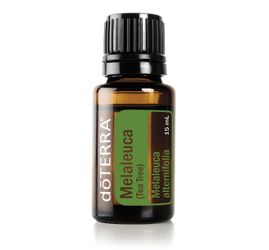 Doterra Tee tree (Melaleuca) essential oil