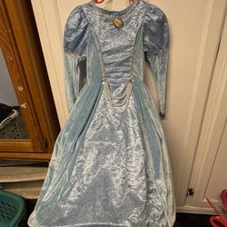 Cinderella Costume Princess