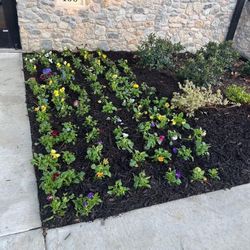 landwork mulch fence trabajo de yardas 