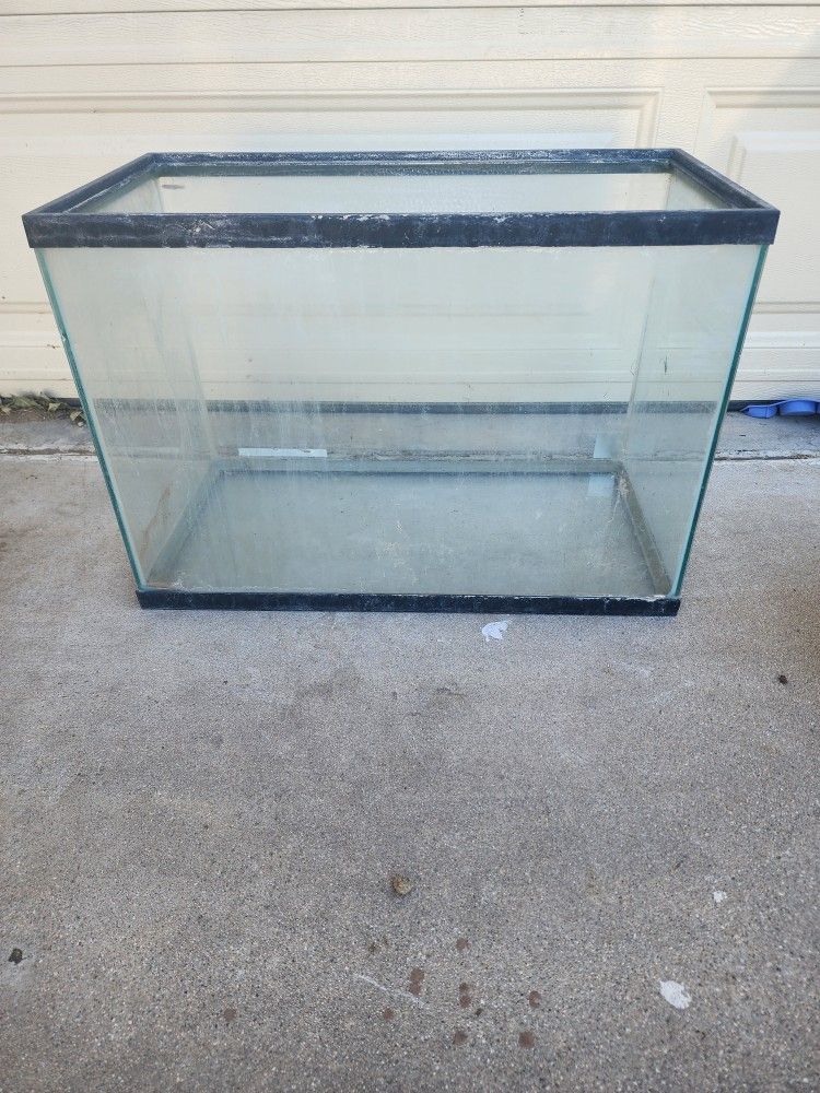Fish Tank