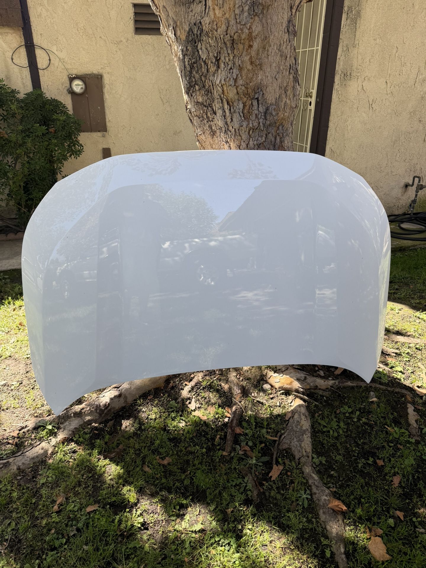 Toyota RAV4 2019-2025 Hood & Reinforcement