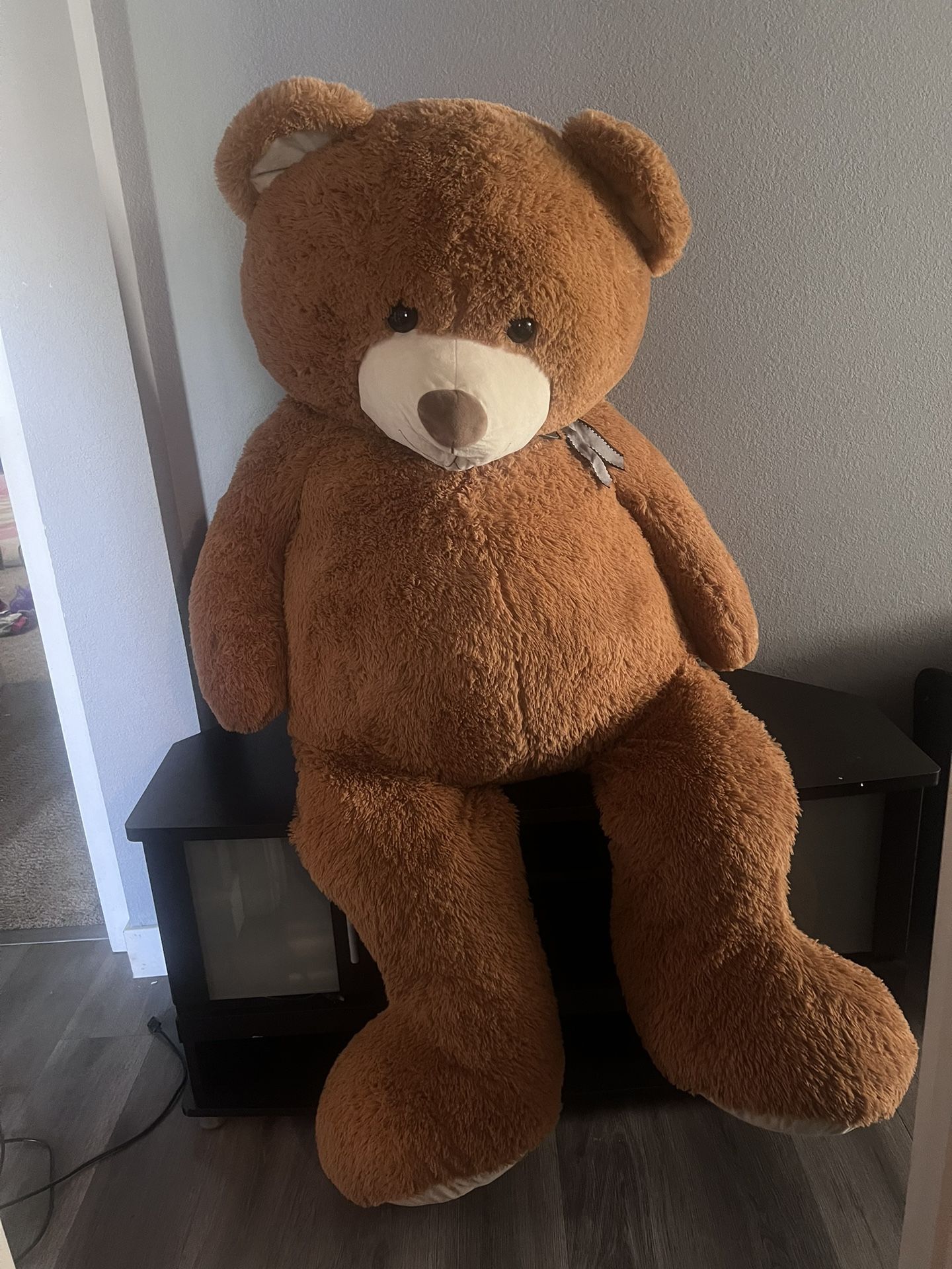 Big Teddy Bear