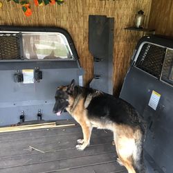 Police Security Partitions Prisoner Cage Bars Ford Chevy Gm