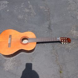 Guitar 