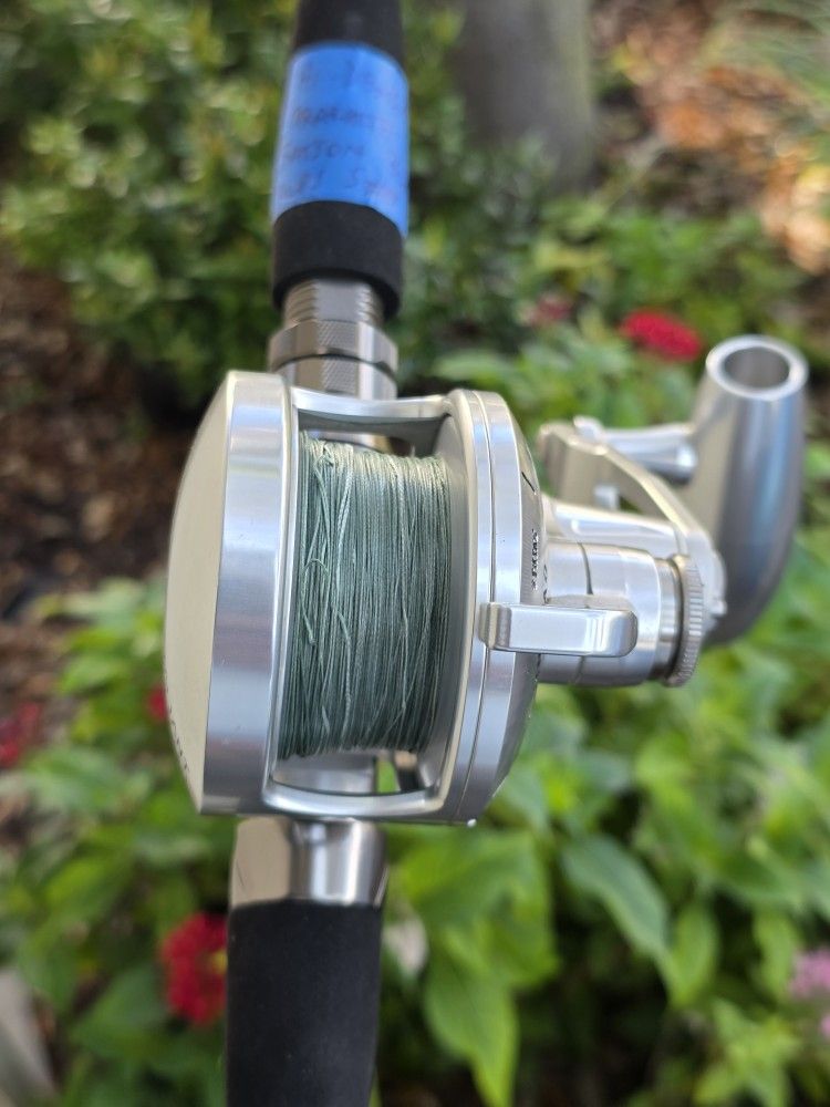 Accurate Reel/Braid/Johnny Jigs Slow Pitch Rod