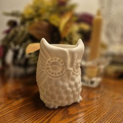 Decorative Owl Succulent Planter 