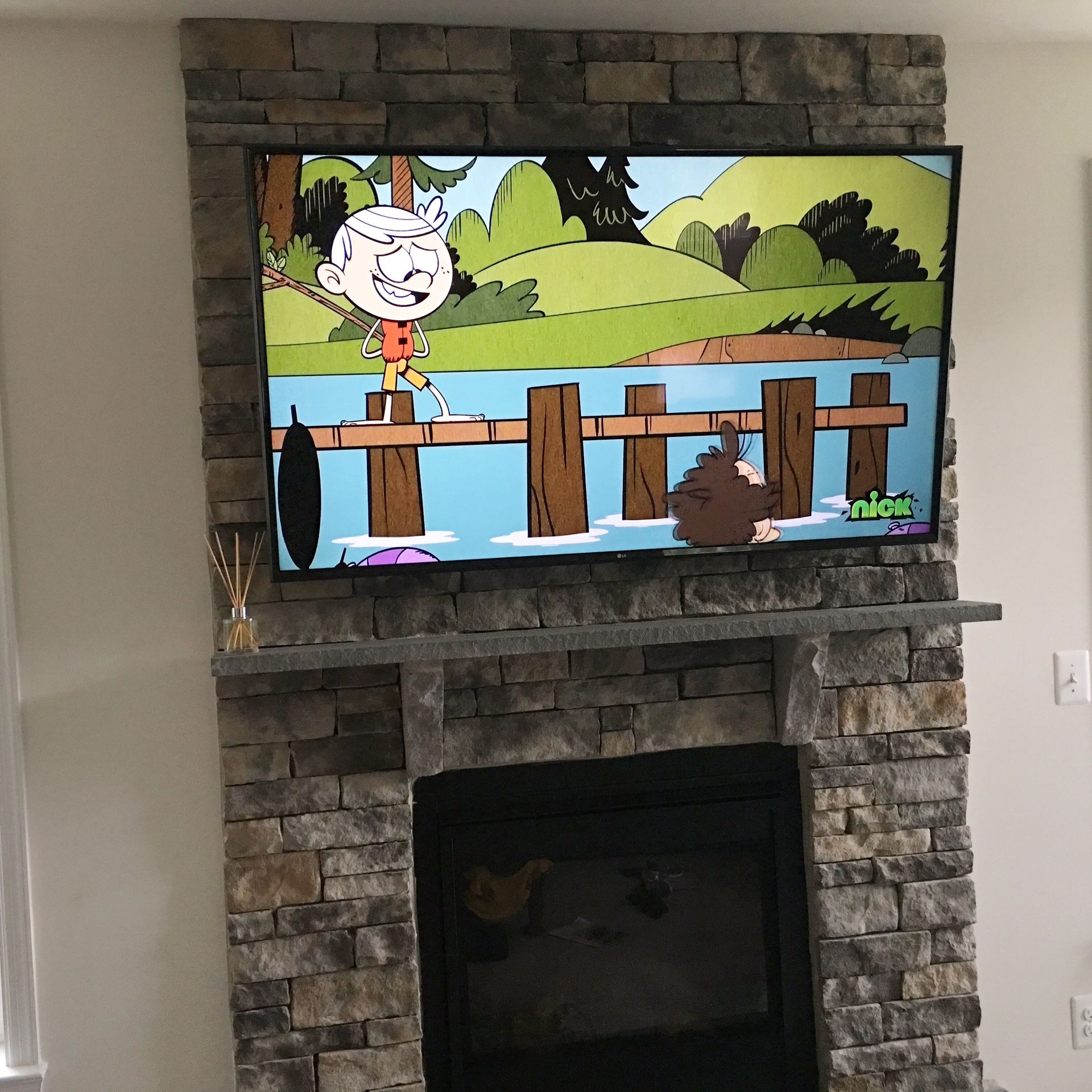 Tv mount/ professional Installation licensed and insured