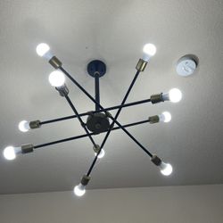 Sputnik 10 Light Fixture