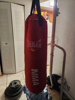 Punching Bag And Gloves