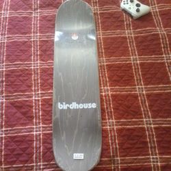 Birdhouse skateboard