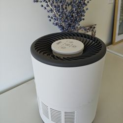 Pure Humidifier 