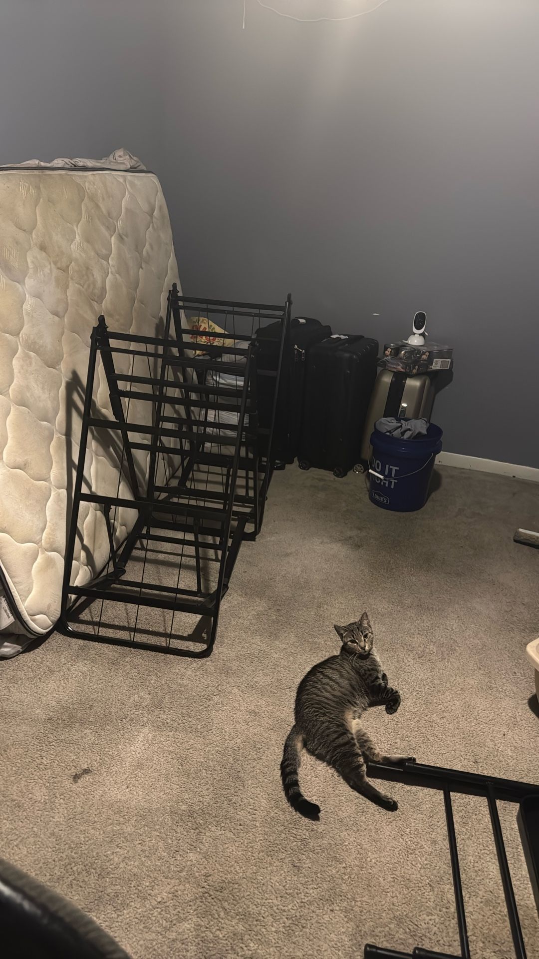 Full Size Medal Fold Up Bed Frame