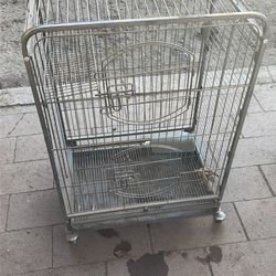 Birds cage