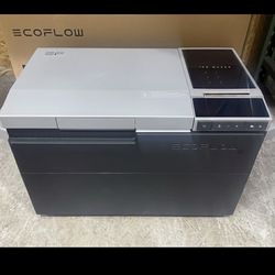 Glacier Ecoflow Portable Fridge