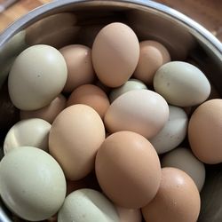 Huevos Orgánicos- Organic Eggs