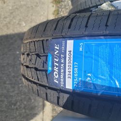17in Tire