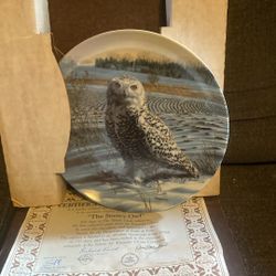 Collectible Owl Plates