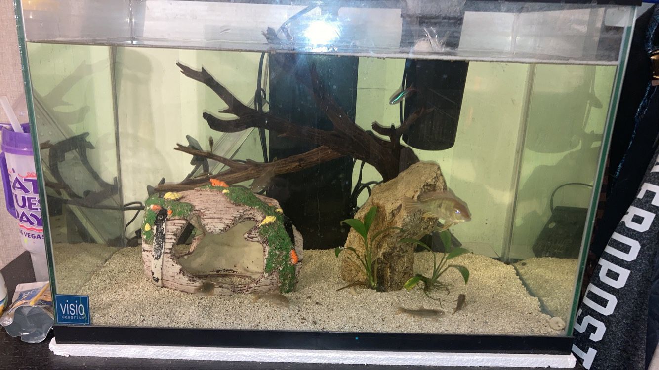 Fish Tank Toy Fish 
