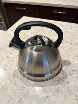 Stainless Steel Mr Coffee Kettle