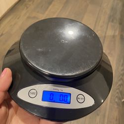 DigiWeigh Table Top Kitchen Scale