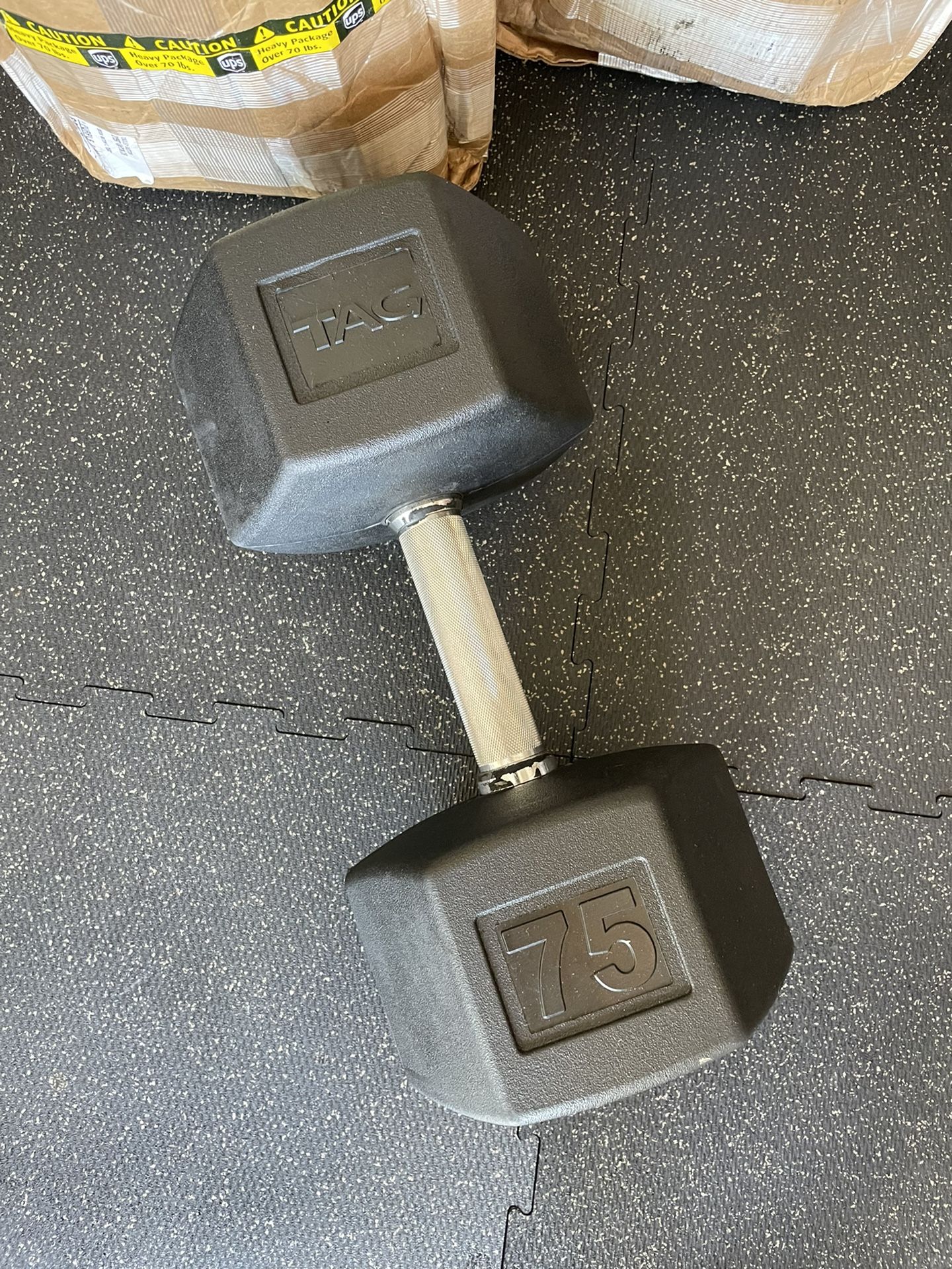 TAG 75 pound Dumbbells 