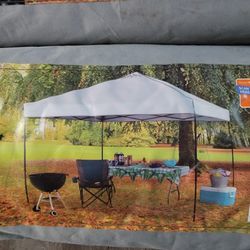 10x10 Easy Pop Up Canopy Tent $50 For One Or $90 For Both