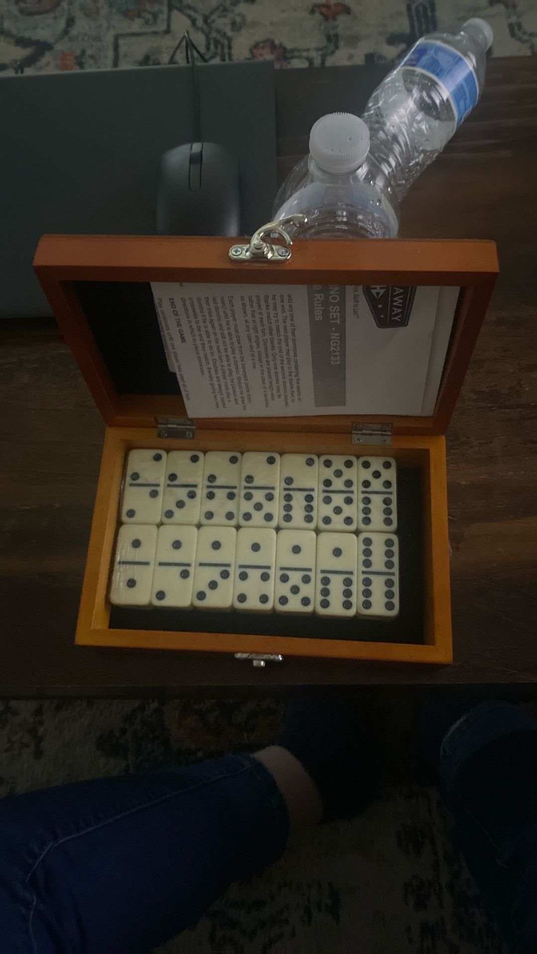 New Dominoes Game Set