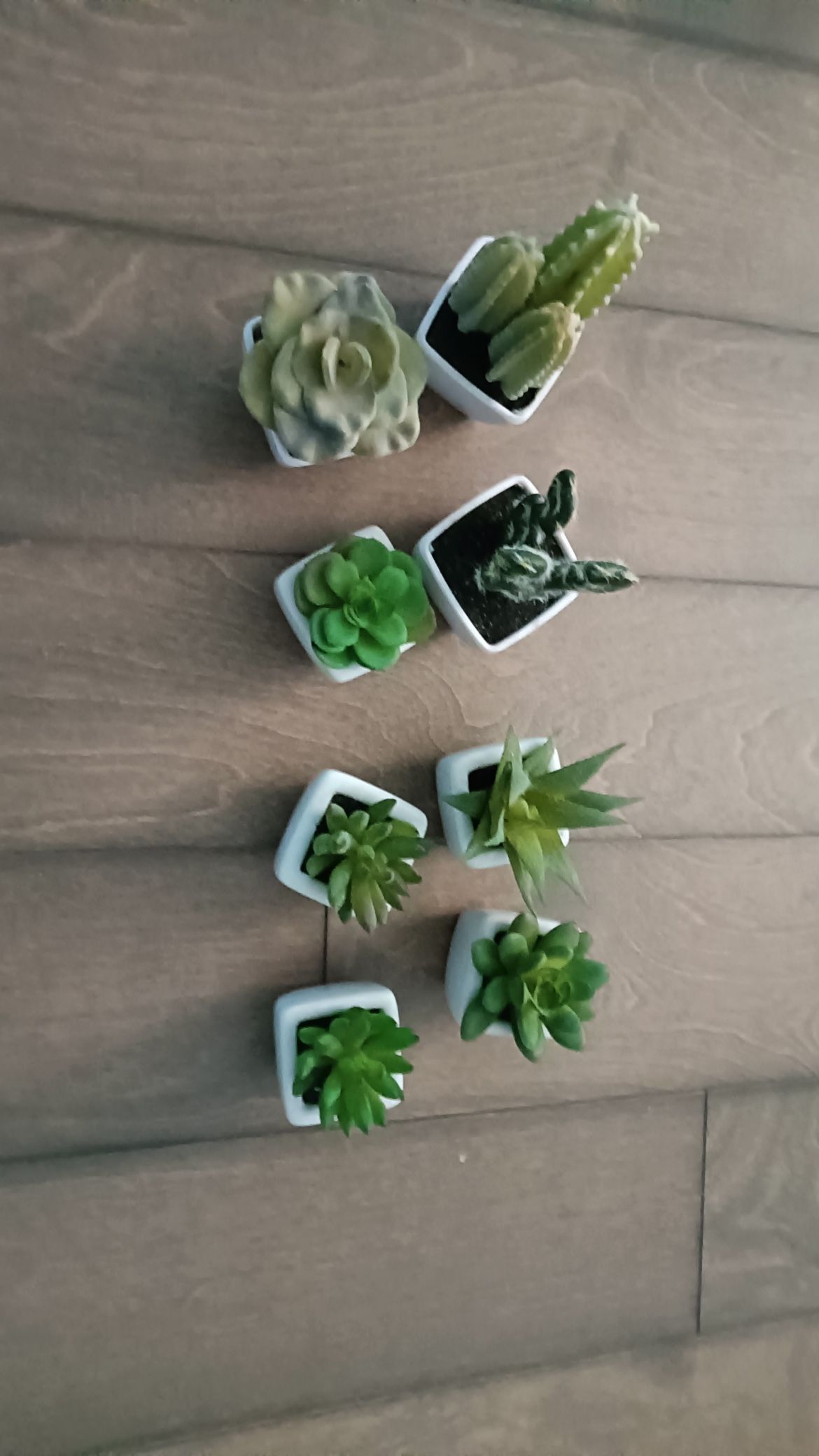 Artificial Plants