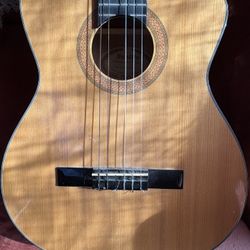 Sunlite acoustic electric guitar