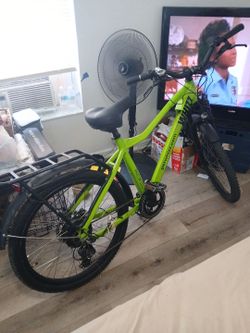 E bike