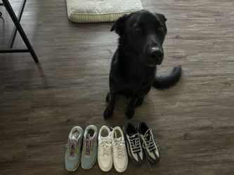 Airmax 90, AF 1, Airmax 95