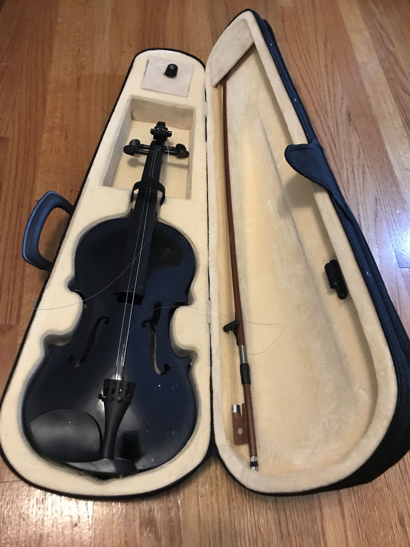 Violin & Missing two strings