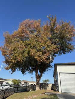 Do You Need Remove Removal?