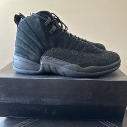 Jordan 12 OVO